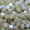 Vacuum Coating